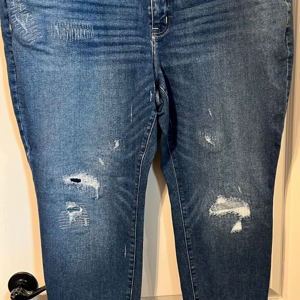 Lane Bryant Jeans